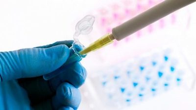 OMS alertó que la variante india del coronavirus ya está en 44 países