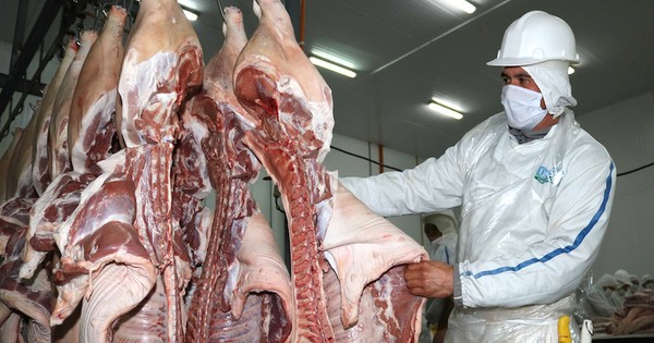 La Nación / Ingreso del complejo porcino creció 8% al primer cuatrimestre de este año