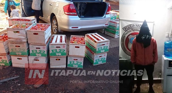 INCAUTAN 33 CAJAS DE TOMATE SUPUESTAMENTE INGRESADAS DE CONTRABANDO