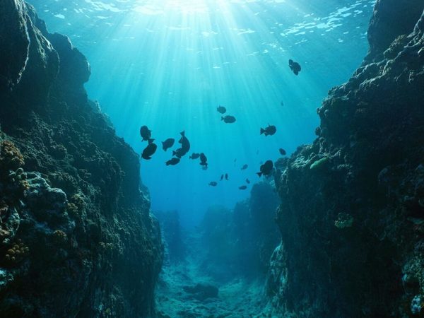 Cuáles son los puntos más profundos de cada uno de los 5 océanos | Ñanduti