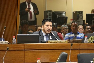 Cámara Baja expulsa al polémico diputado Carlos Portillo | El Independiente