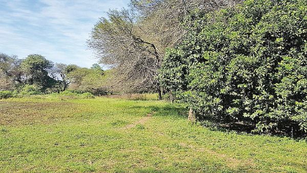 Falsifican firma para hacerse con miles de hectáreas en el Chaco