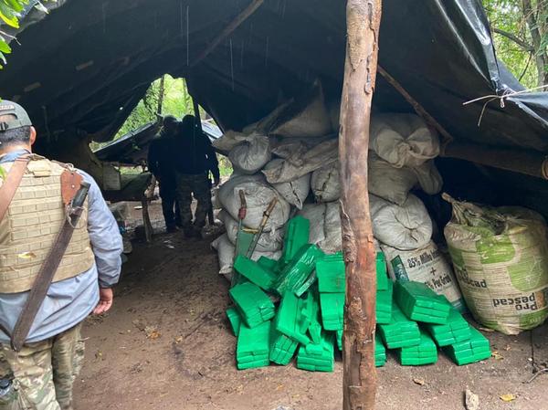 Golpe al Narcotráfico: Eliminan campamento y más de 6 toneladas de marihuana en Capitán Bado