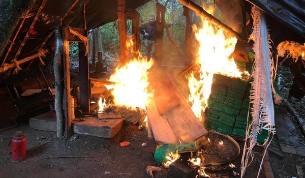 Senad eliminó 8 campamentos narcos y más de 6 toneladas de marihuana en Capitán Bado