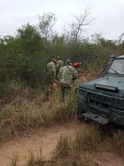 Encuentran con vida a tres personas desaparecidas en el monte chaqueño  - Nacionales - ABC Color