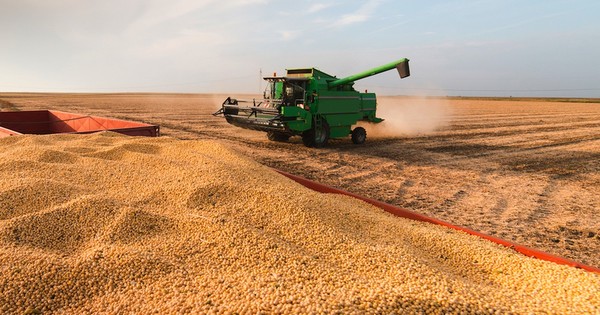La Nación / Paraguay exportó derivados de granos y cereales a México por US$ 80 millones