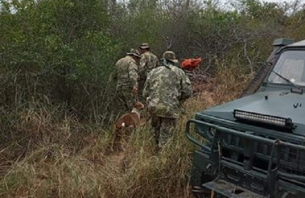 Encuentran con vida a tres personas desaparecidas en el monte chaqueño - Noticiero Paraguay
