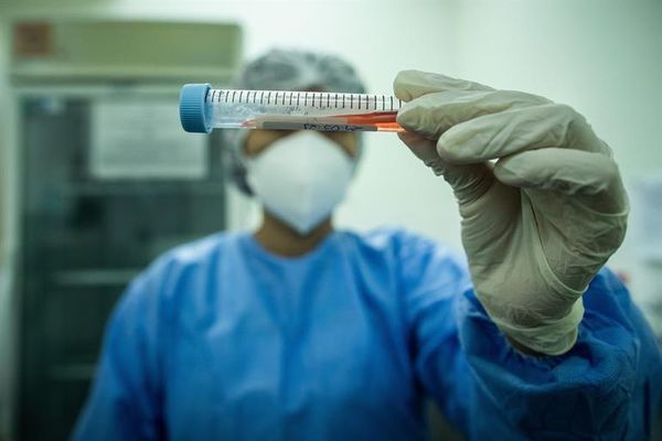 18 científicos no descartan aún que el coronavirus saliera de un laboratorio - Ciencia - ABC Color