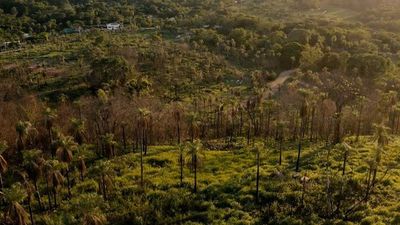Serendipia: Desarrollo urbanístico naturalmente perfecto