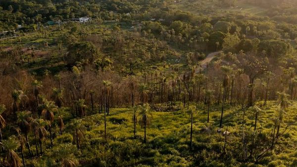 Serendipia: Desarrollo urbanístico naturalmente perfecto