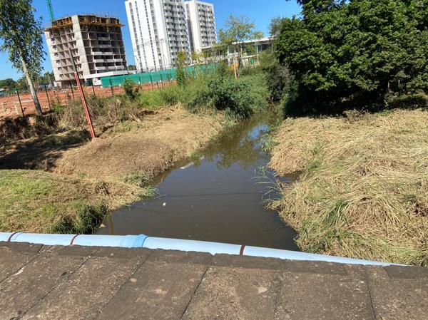 Sociedad civil Corumba Cué limpia el arroyo Cañada del Carmen de Mariano Roque Alonso