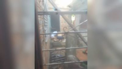 Le garrotearon por arrancarle el diente con pinza a su hijastro