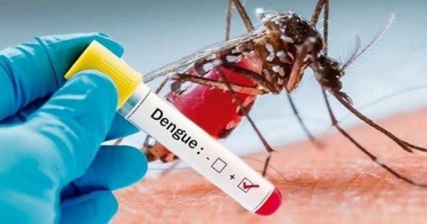 La Nación / Dengue: más de 1.700 personas infectadas en el país
