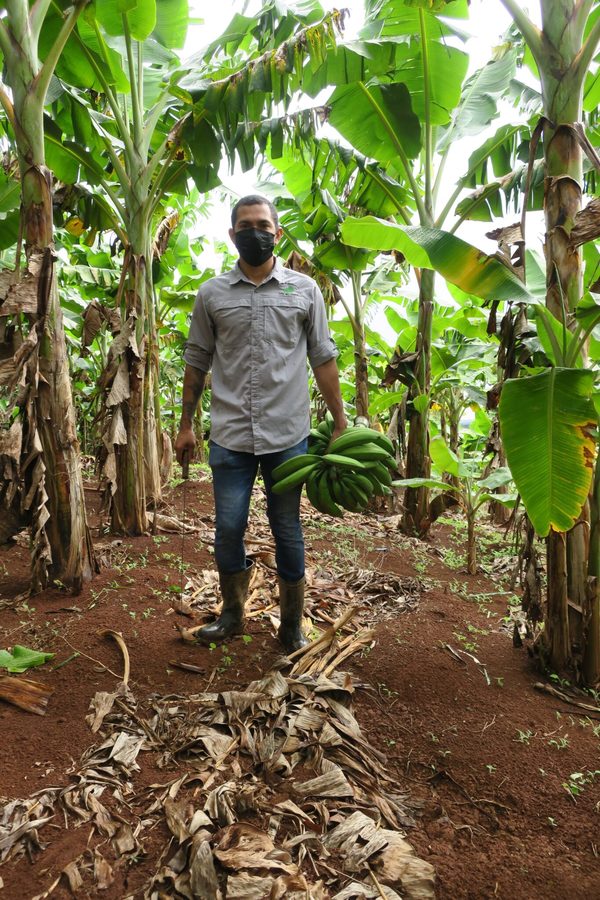 El atleta puertorriqueño José Meléndez se retira para dedicarse a la agricultura - MarketData