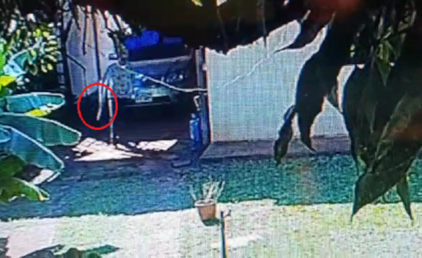 Hombre asalta a septuagenaria que estaba sola en casa