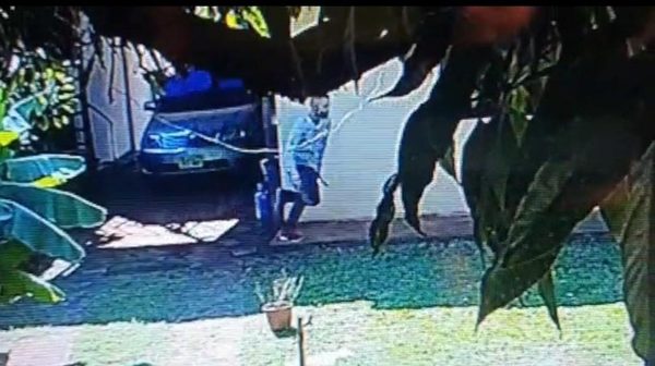 Bandido toma por asalto la casa de una anciana y roba dinero y joyas – Diario TNPRESS