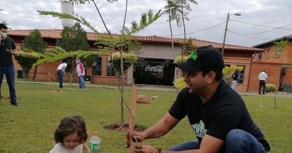 La Nación / Plantatón: arborizan futuro corredor biológico con 5.000 plantines