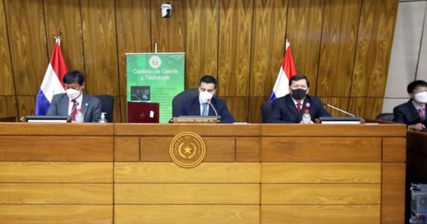 La Nación / Tren de Cercanía Asunción-Ypacaraí presenta avances importantes, confirma diputado