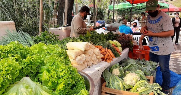 La Nación / Alimentos sanos, directo de la huerta