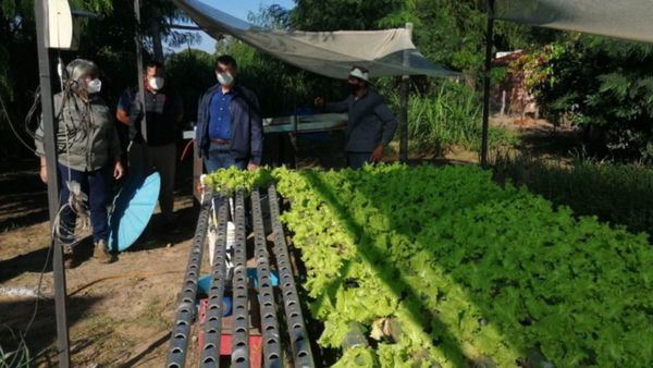 En Pilar, Yacyretá fortalece a los productores hortícolas