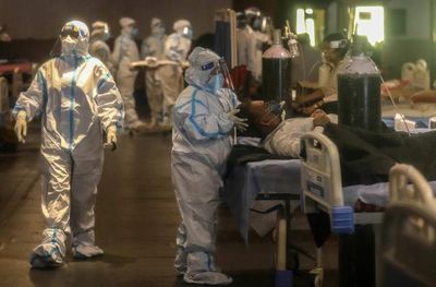 Los anticuerpos contra el covid-19 permanecen en la sangre al menos ocho meses - Ciencia - ABC Color