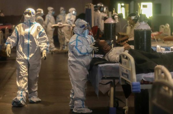 Los anticuerpos contra el covid-19 permanecen en la sangre al menos ocho meses - Ciencia - ABC Color
