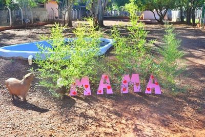 Animales del Centro Ambiental de Itaipu también celebraron el Día de la Madre | Ñanduti