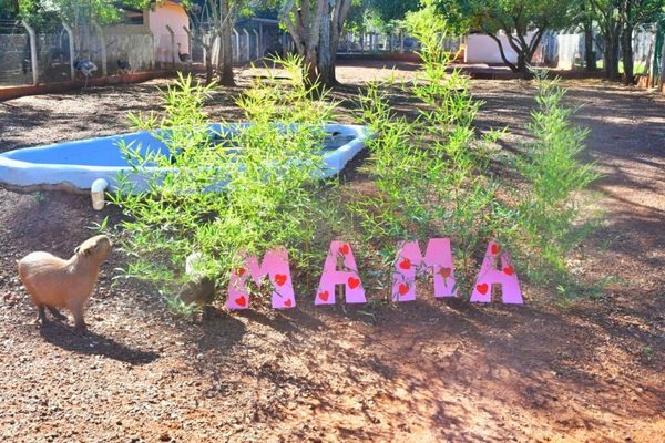 Animales del Centro Ambiental de Itaipu también celebraron el Día de la Madre | Ñanduti