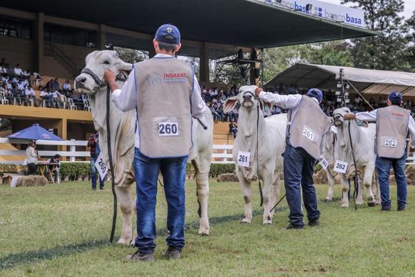 Toni Catto dictará curso “Presentación de animales de competencia” en la Nacional Brahman