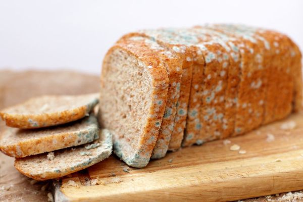 ¿Comer un pan mohoso podría realmente afectar tu salud?