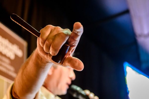Everdem habilitó pre ofertas para 2.550 vacunos en la feria de invernada del CEA