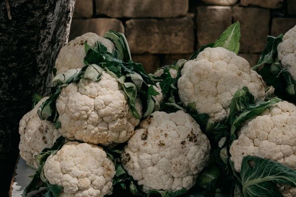Coliflor: sus beneficios más importantes para la nutrición y la salud