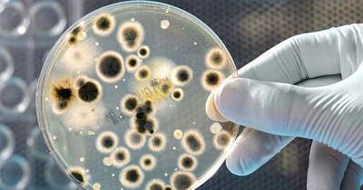 La Nación / Nomenclatura del Mercosur mantiene arancel 0% para productos de salud