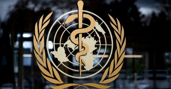 La Nación / Paraguay ratificó su interés de ser parte del Consejo Ejecutivo de la OMS