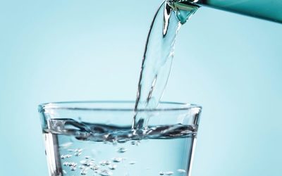 ¿Cómo ha sobrevivido? Modelo asevera que desde hace 9 años no bebe agua