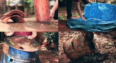 Instan a eliminar criaderos de mosquitos todos los días y en todos los ambientes | Ñanduti