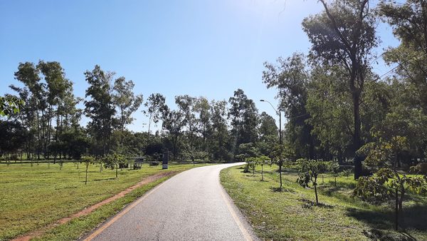 Meteorología pronostica martes fresco a cálido y soleado