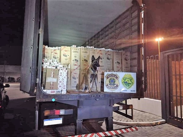 Decomisan camión con 250 cajas de CIGARRILLOS producidos por TABESA