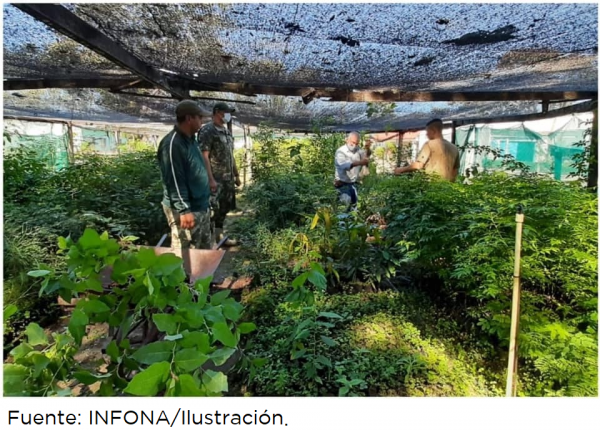 Impulsan acciones con miras al tratamiento del comercio internacional de especies forestales | .::Agencia IP::.