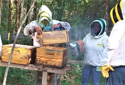 Apicultores de Ayolas obtienen producción de alta calidad con apoyo de la EBY | .::Agencia IP::.