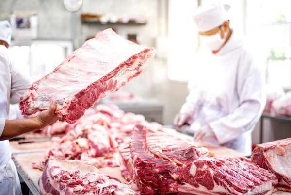 El optimismo de los productores paraguayos ante el terreno que cede Argentina para la exportación de carne - MarketData