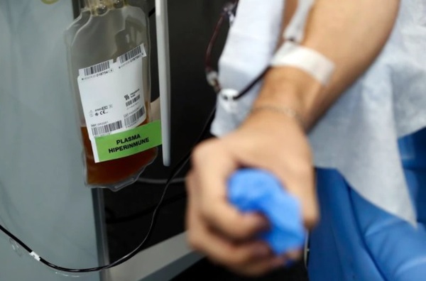 Nuevas evidencias desalientan el uso del plasma sanguíneo en cuadros de Covid-19 - ADN Digital