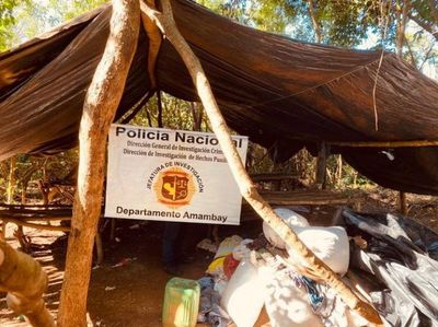 Destruyen 996 kilos de marihuana tras allanamiento a establecimiento rural