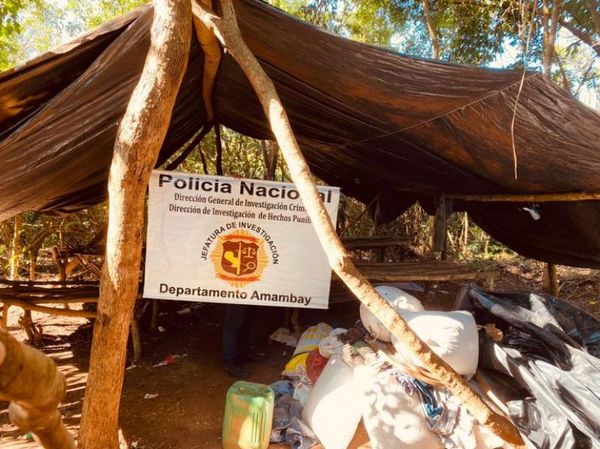 Destruyen 996 kilos de marihuana tras allanamiento a establecimiento rural