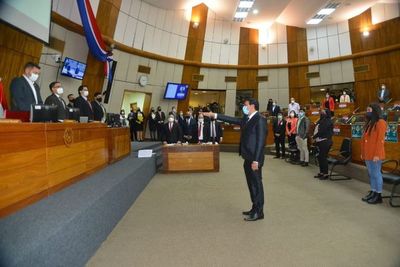 Noguera asumió en reemplazo de Carlos Portillo, primer diputado expulsado por uso indebido de influencias  - Nacionales - ABC Color