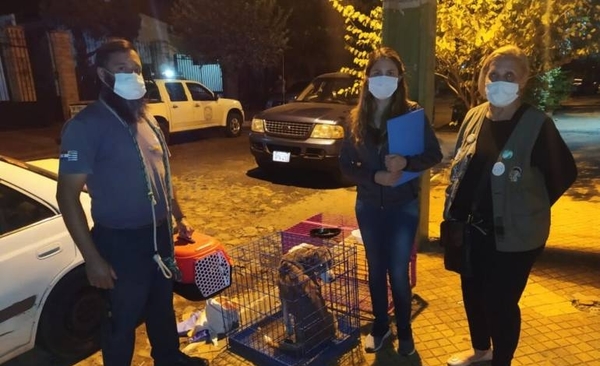 Diario HOY | Hallan muerta a mujer tras denuncia de abandono de animales