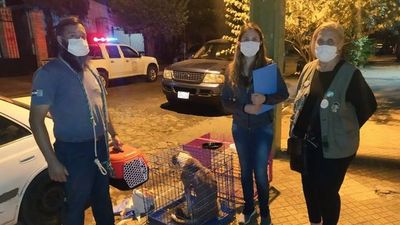 Fue denunciada por abandonar a su perro y la encontraron muerta en la cama