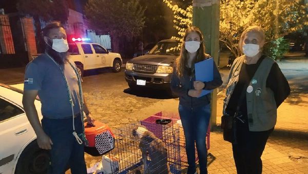 Mujer fue denunciada por abandono de animales y la hallaron muerta
