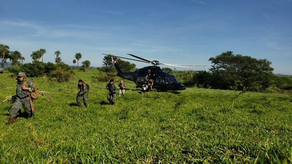 ¡En 635 hectáreas! Paraguay y Brasil destruyen casi 2.000 toneladas de marihuana en 15 días