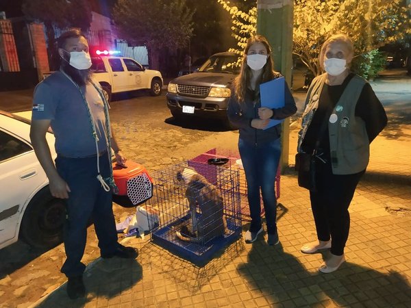 Acudieron a denuncia de abandono animal y encontraron a la dueña muerta